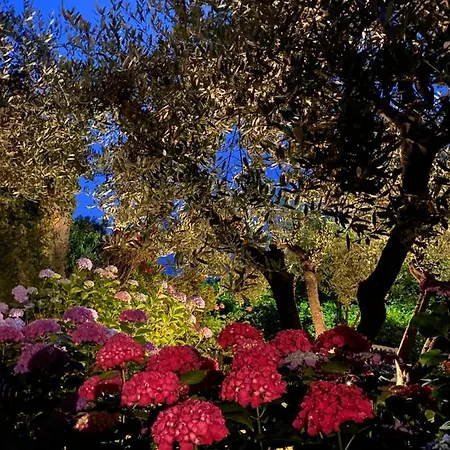 Relais San Filippo In Sogaglia לינה וארוחת בוקר Mulazzo